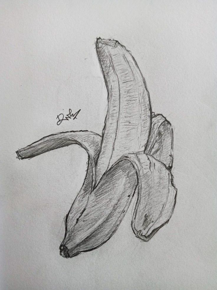 drawing pencilonpaper banana 221122 Fruits Pencil Sketch, Gcse Drawing Ideas, Banana Sketch Pencil, Easy Food Sketches, Banana Pencil Drawing, Food Pencil Sketch, Food Drawings Pencil, Banana Drawing Realistic, How To Draw A Banana