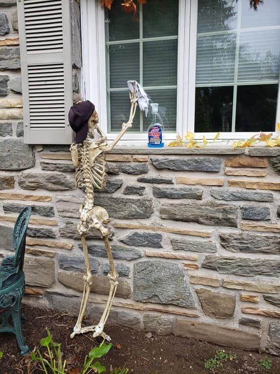 a skeleton is standing in front of a window