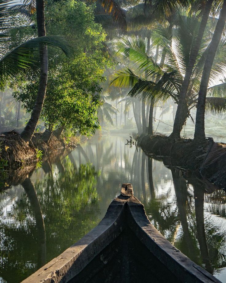 a boat traveling down a river surrounded by palm trees