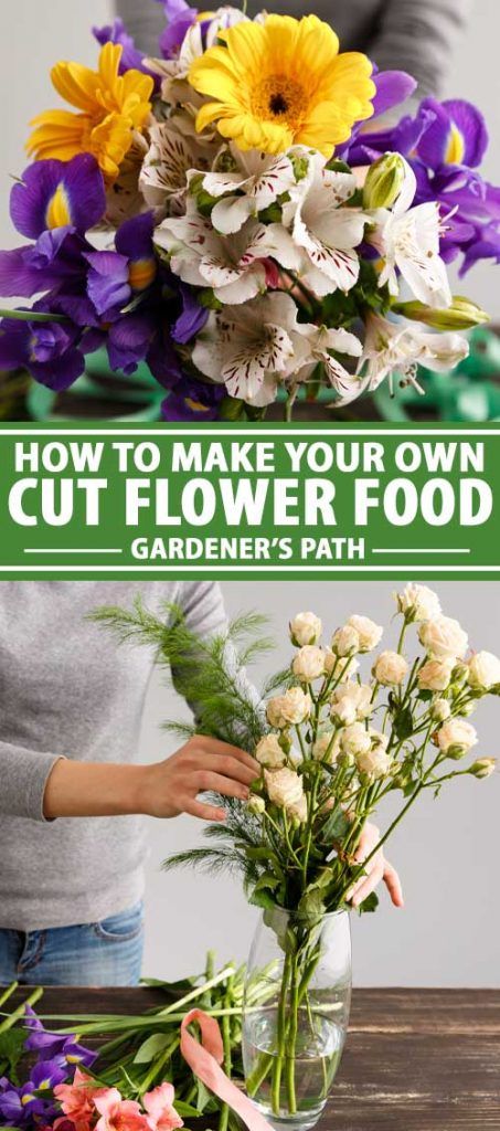 how to make your own cut flower food garden's path