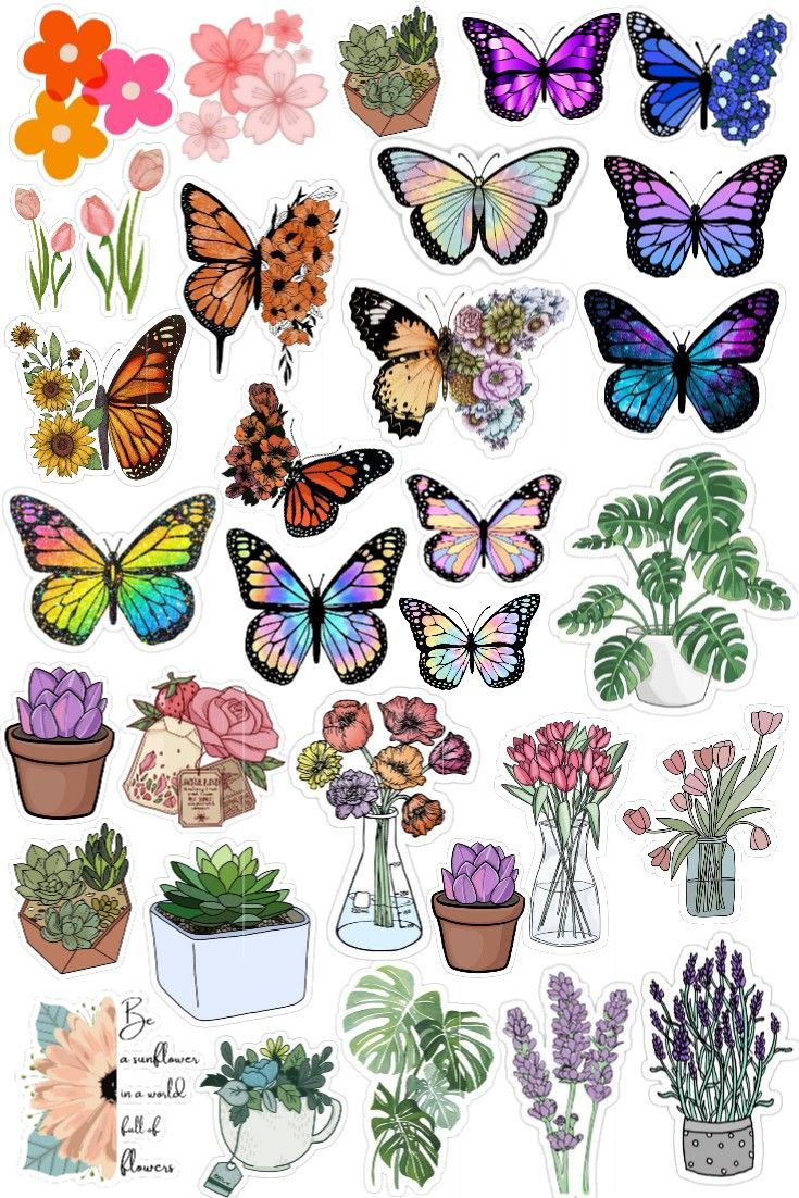 a bunch of different types of flowers and butterflies