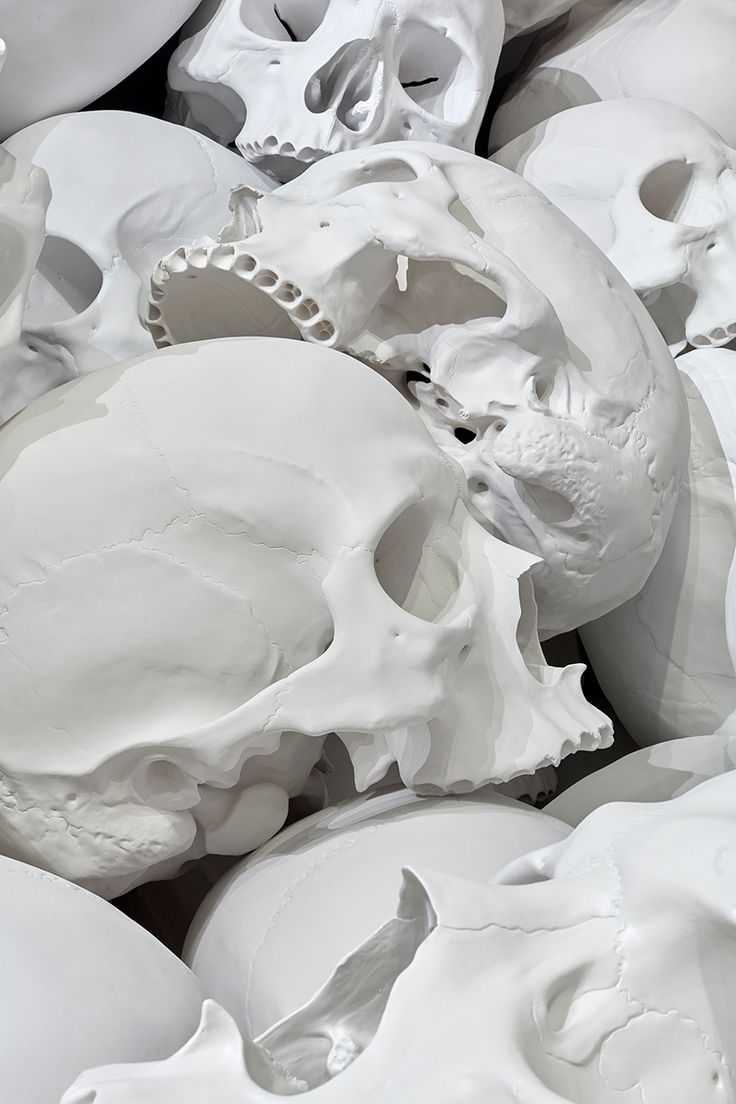 a pile of white skulls sitting next to each other