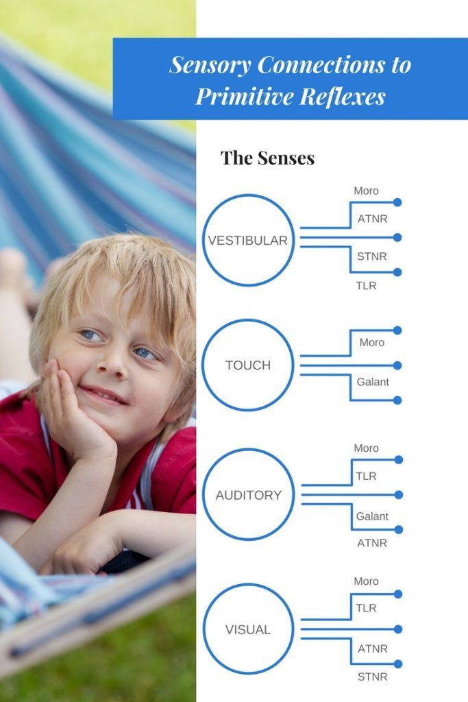 sensory and primitive reflex Reflex Integration, Primitive Reflexes, Occupational Therapy Kids, Pediatric Physical Therapy, Integrated Learning, Vision Therapy, Pediatric Occupational Therapy, Pediatric Therapy, Motor Development