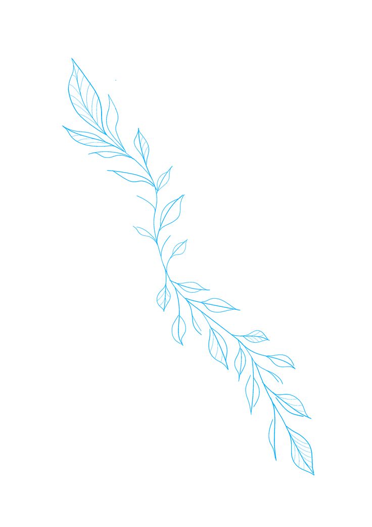 a blue line drawing of a branch with leaves on it's end and the tip of its leaf sprout