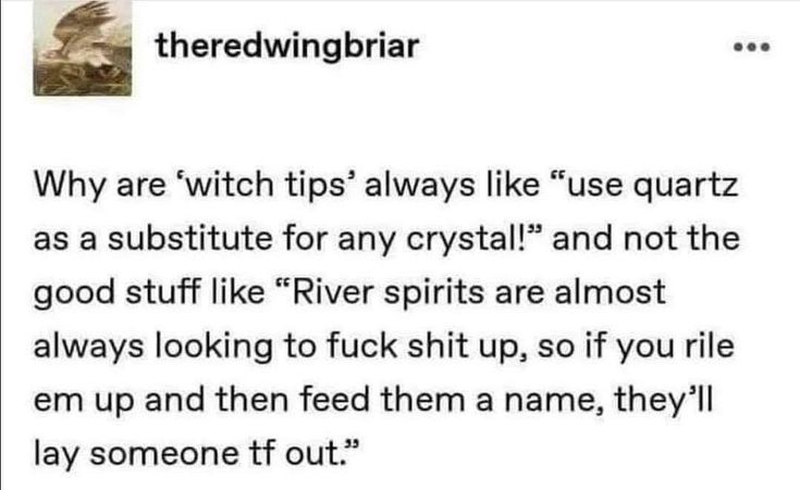 Witch Tips, Which Witch, Witch Spirituality, Witch Stuff, Magic Spell Book, Under Your Spell, Wiccan Spell Book, Writing Board, Witchcraft Spell Books