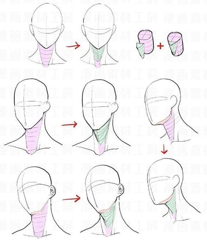 how to draw the head and neck with different angles for each part of the face