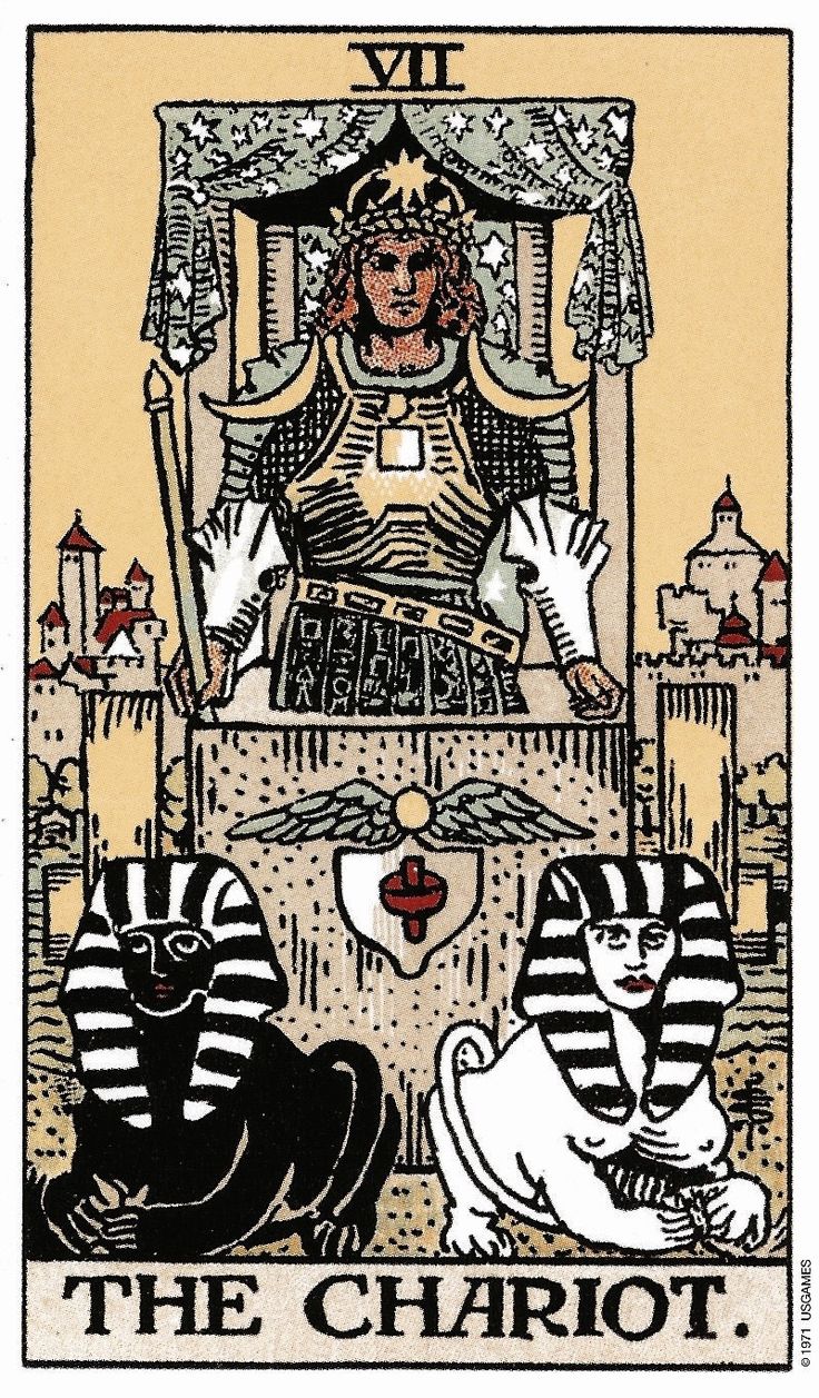 the chariot tarot card with two cats sitting on it and one cat standing up