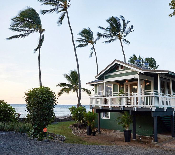 a house on the beach with palm trees blowing in the wind and water behind it