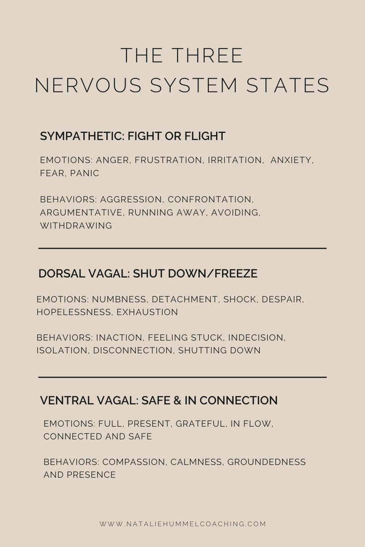 Nervous System Model, Nervous System Notes, Anatomy Nervous System, Nervous System Diagram, Living In Survival Mode, Nervous System Healing, Nervous System Anatomy, Childhood Wounds, Regulate Your Nervous System