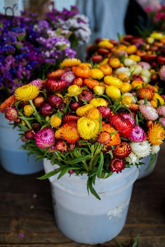 several buckets filled with colorful flowers sitting on top of a wooden table next to each other