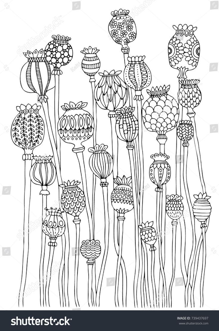 black and white drawing of flowers in the garden