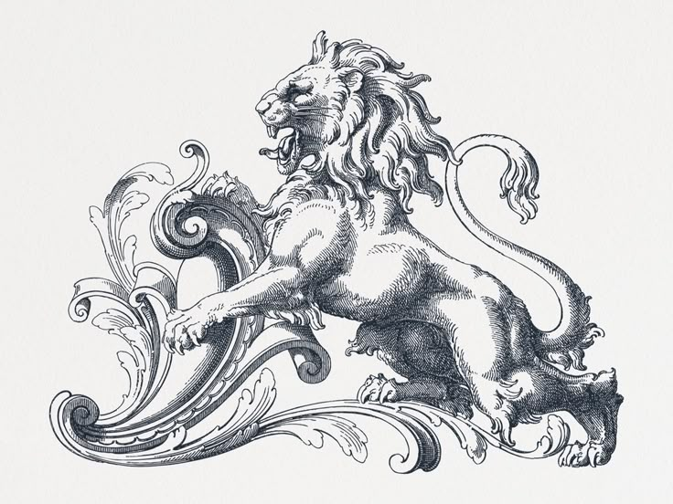 a black and white drawing of a lion