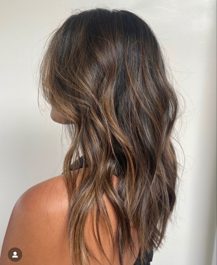 Before After Highlights, Carmel Lowlights Dark Brown Hair, Level 5 Brown Hair With Highlights, Beach Waves Brown Hair, Cali Brunette, Lived In Brunette Balayage, Warm Brown Hair, Brown Hair Inspo, Brunette Hair With Highlights