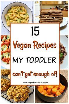 the top 15 vegan recipes for toddlers can't get enough of them