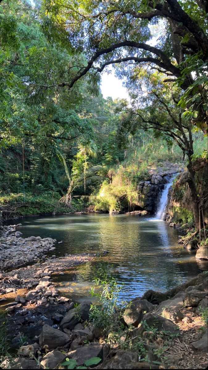 a small waterfall in the middle of a forest