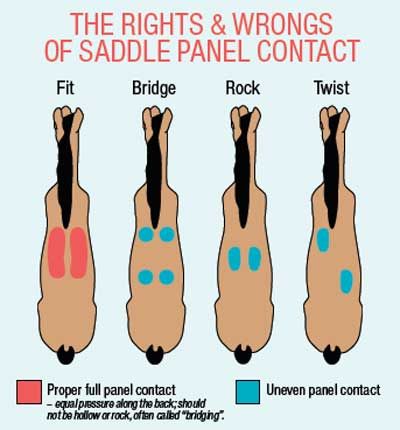 the right and wrongs of saddle panel contact info sheet with instructions on how to use it