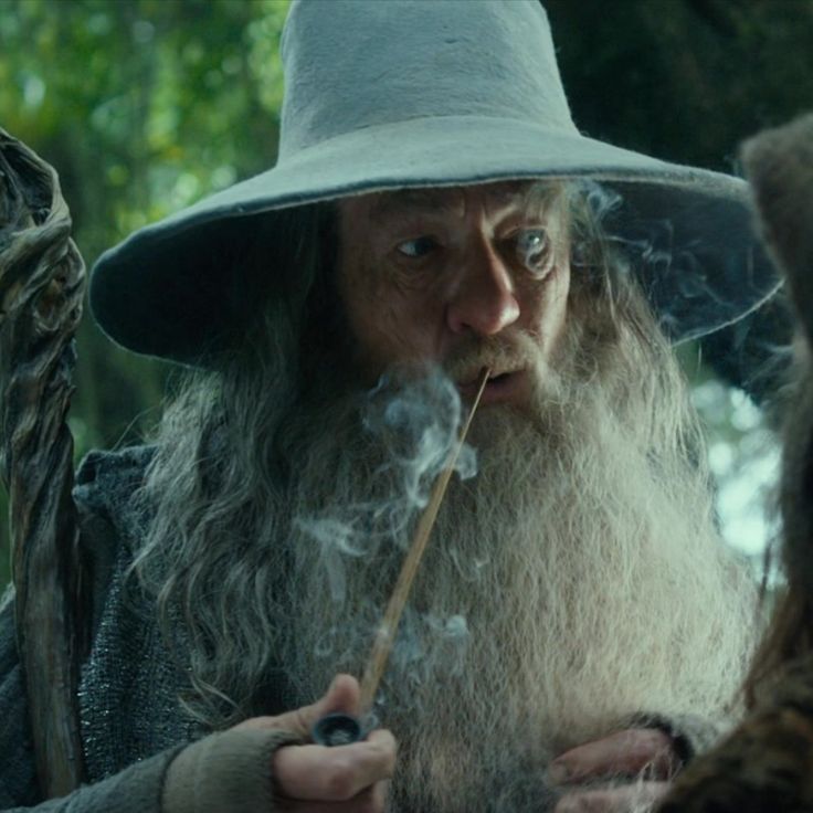 an old man with long gray hair wearing a hat and holding a wand in his right hand