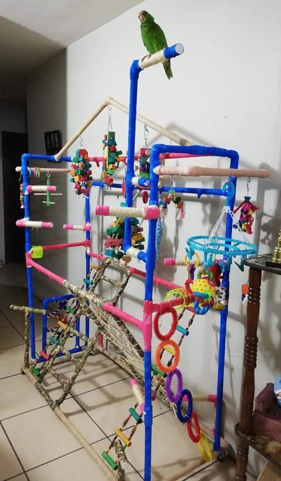 a bird sitting on top of a toy structure made out of plastic pipes and toys