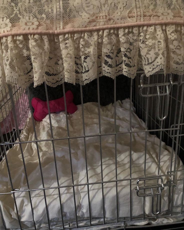 a small dog in a cage with a pillow on it's back and some curtains