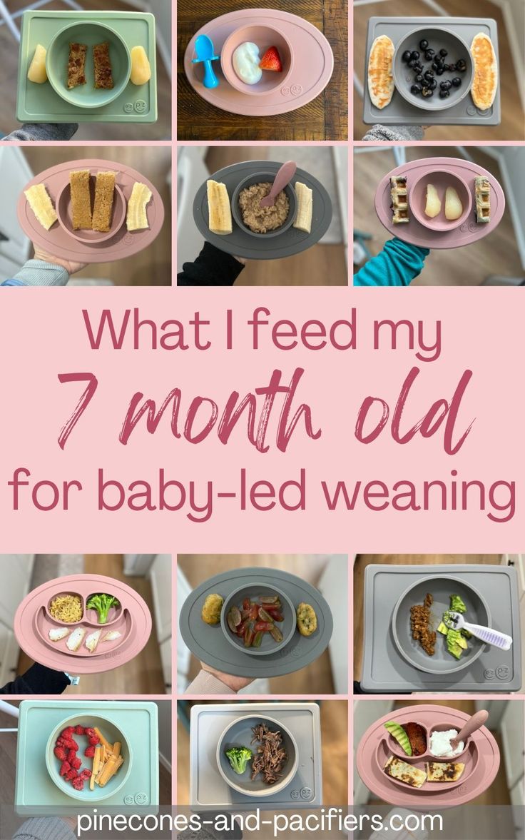 what i feed my 7 month old for baby led weaning