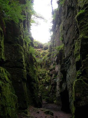 a narrow path is surrounded by mossy rock walls and trees in the distance, with sunlight coming through the window