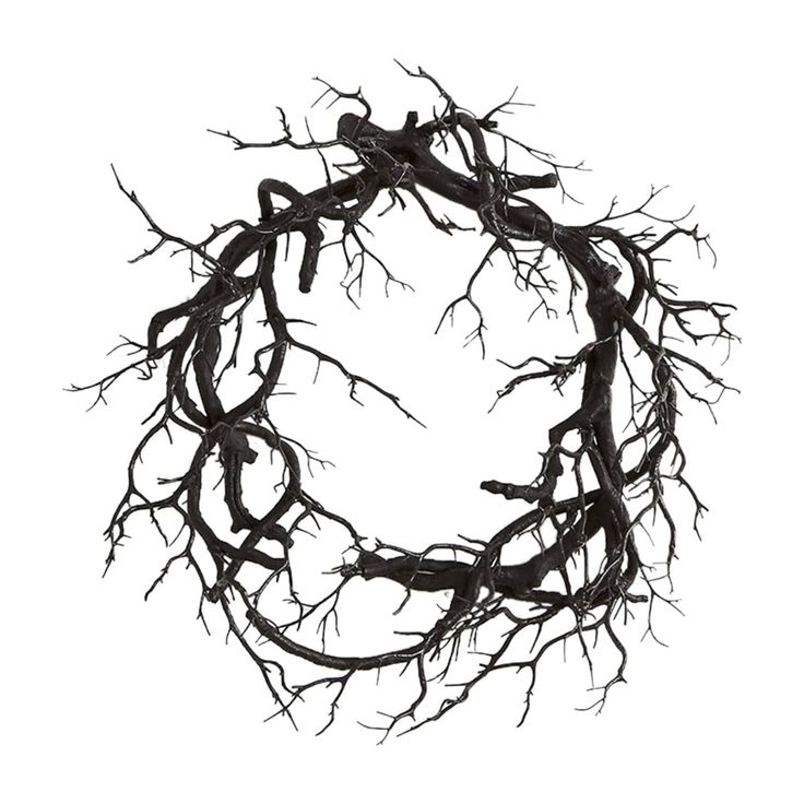 a wreath made out of branches on a white background