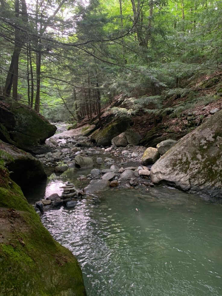 a stream running through a forest filled with lots of green mossy rocks and trees