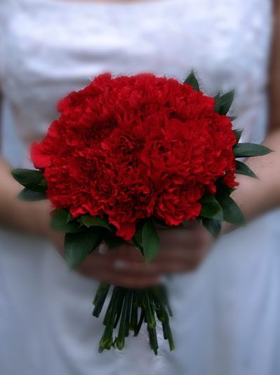 a woman holding a bouquet of red flowers