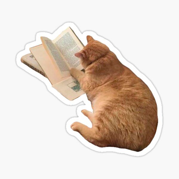 an orange cat laying on its back and reading a book