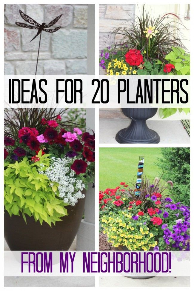 four different pictures with flowers in them and the words ideas for 20 planters from my neighborhood