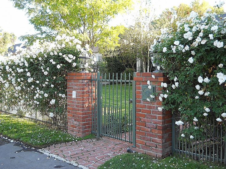 a brick fence with white flowers growing over it