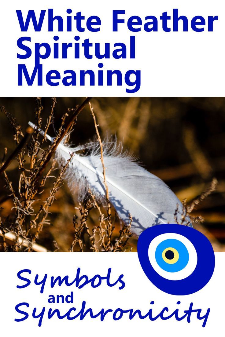 White Feather Spiritual Meaning Feather Spiritual Meaning, White Feather Meaning, Things To Learn About, Spirit Guides Meditation, Finding Feathers, Feather Symbolism, Feather Meaning, Spirit Animal Meaning, Animal Meanings