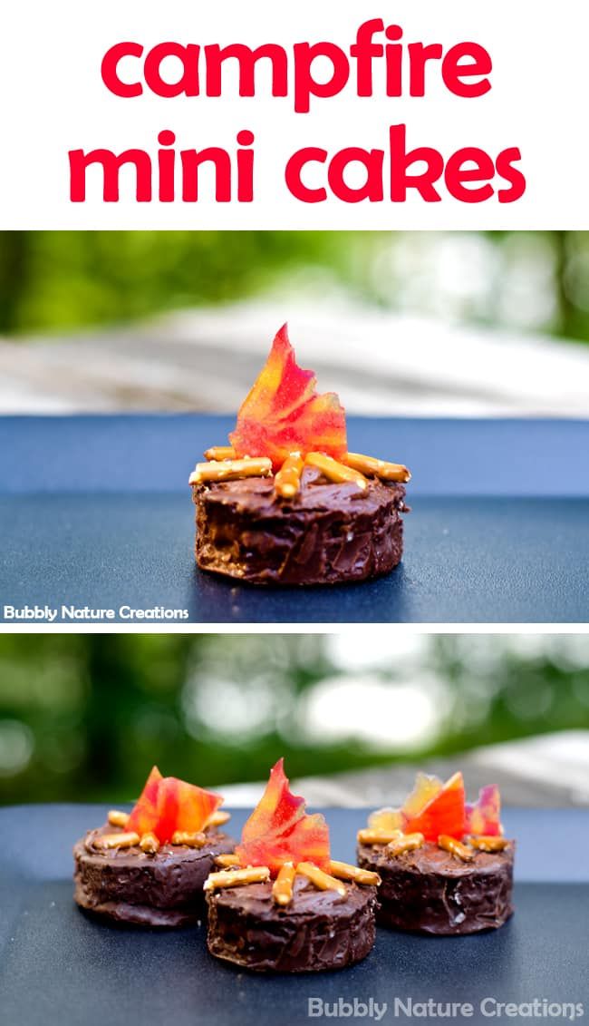 there are three small cakes with orange leaves on them and the words campfire mini cakes above it