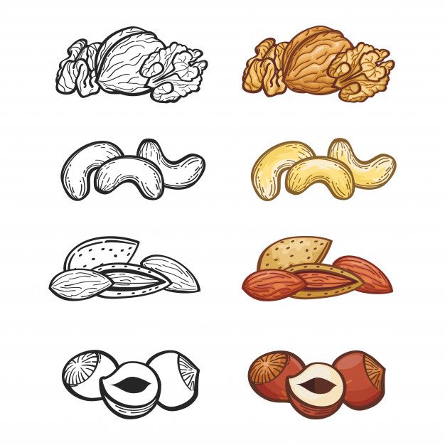 different types of nuts on a white background