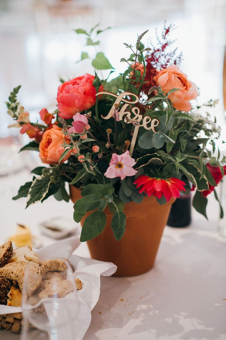 there is a potted plant with flowers on the table