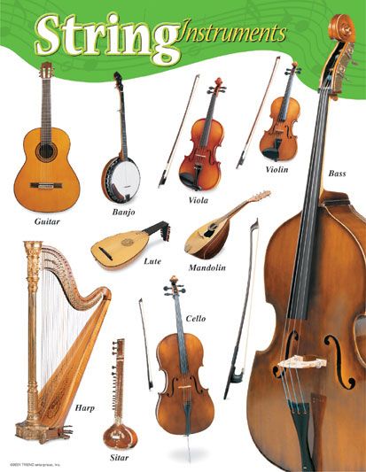 an image of a book with musical instruments on the front and back cover, including violin