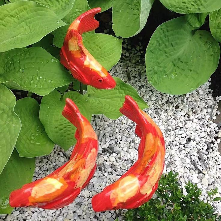 two red and yellow koi fish sitting on top of green leaves next to plants