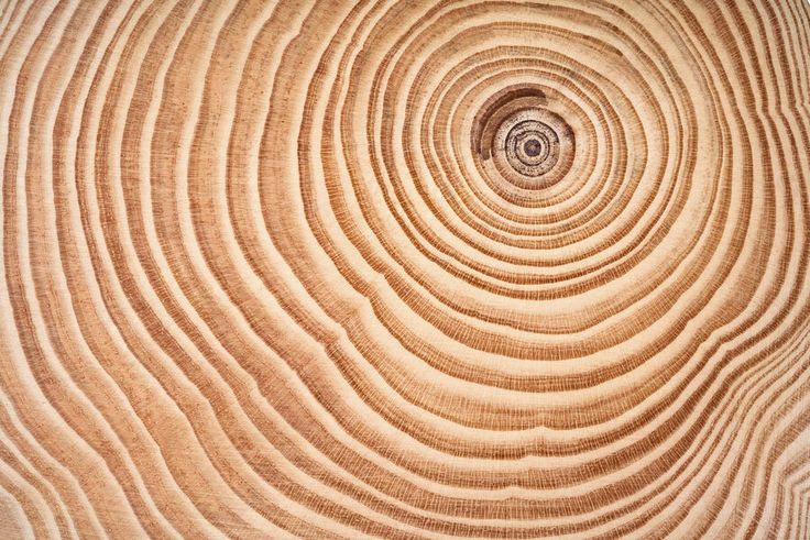 an image of wood that looks like it has been cut in half and is being used as a background