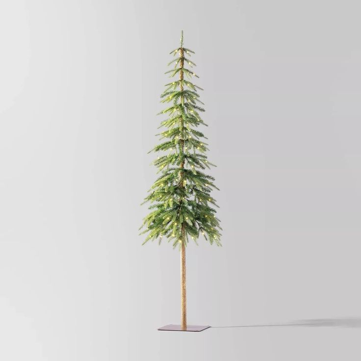 a tall pine tree with green leaves on it's trunk is shown in front of a white background