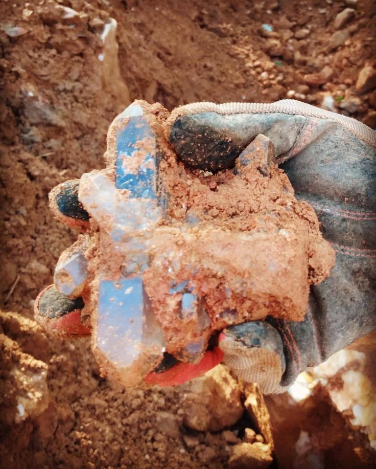 a gloved hand with dirt on top of it in the dirt and mud area