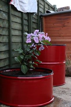 two red planters with purple flowers in them