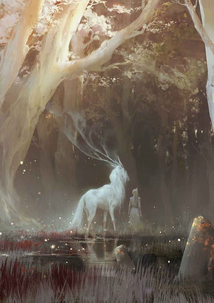 a white horse standing in the middle of a forest next to tall trees and water