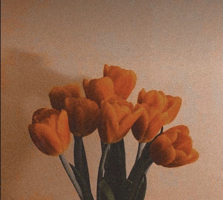 some orange tulips are in a vase on a table with a white wall behind them