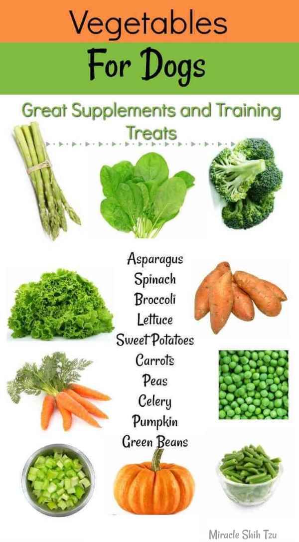 vegetables for dogs that include broccoli, carrots and peas