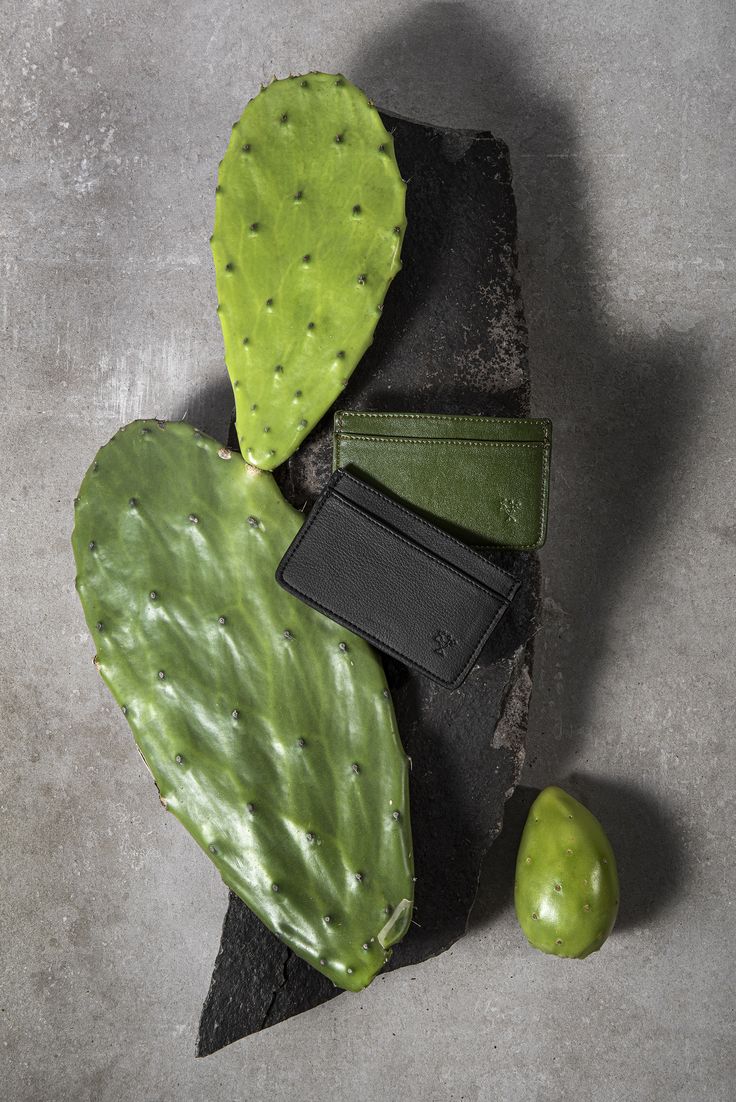 a green cactus next to a black wallet