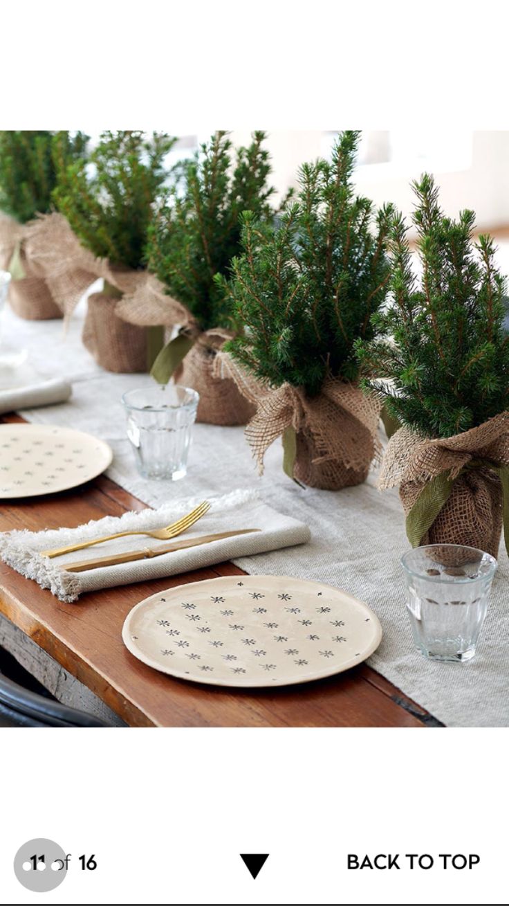 the table is set with place settings for two people to sit at, and there are pine trees in burlocks