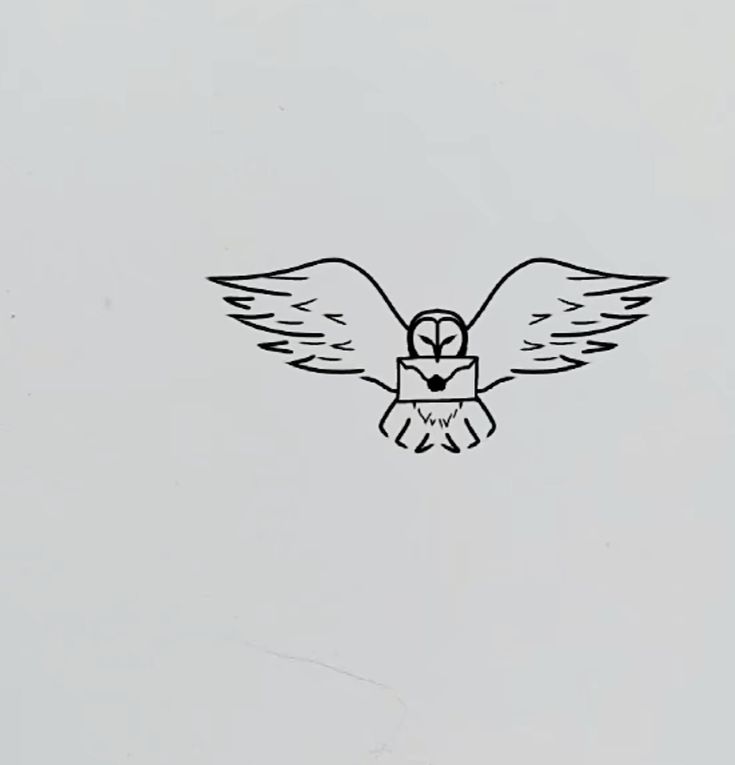 an owl flying in the sky with its wings spread