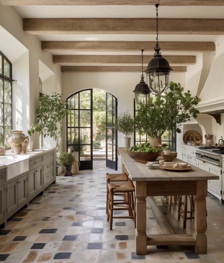 a large kitchen with lots of counter space and potted plants on the table in front of it