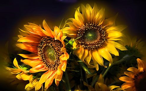 three yellow sunflowers in a vase on a table