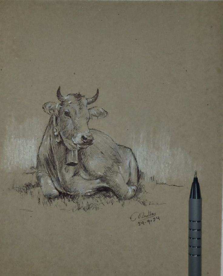 a drawing of a cow laying down on the ground